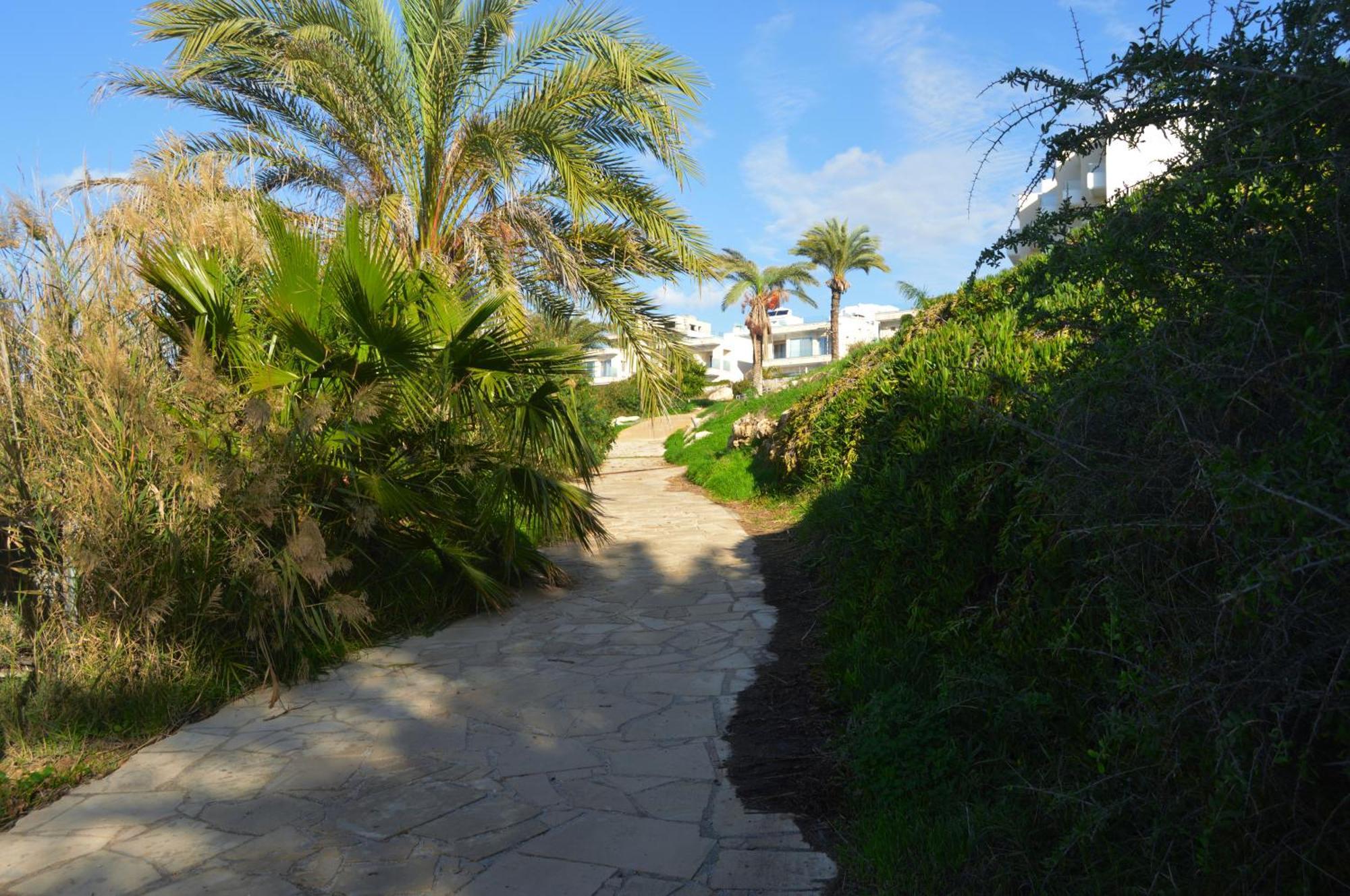 Olymp Luxury Villa D - Luxury Escape With Direct Beach Access And Unique Sunsets Paphos Exteriör bild